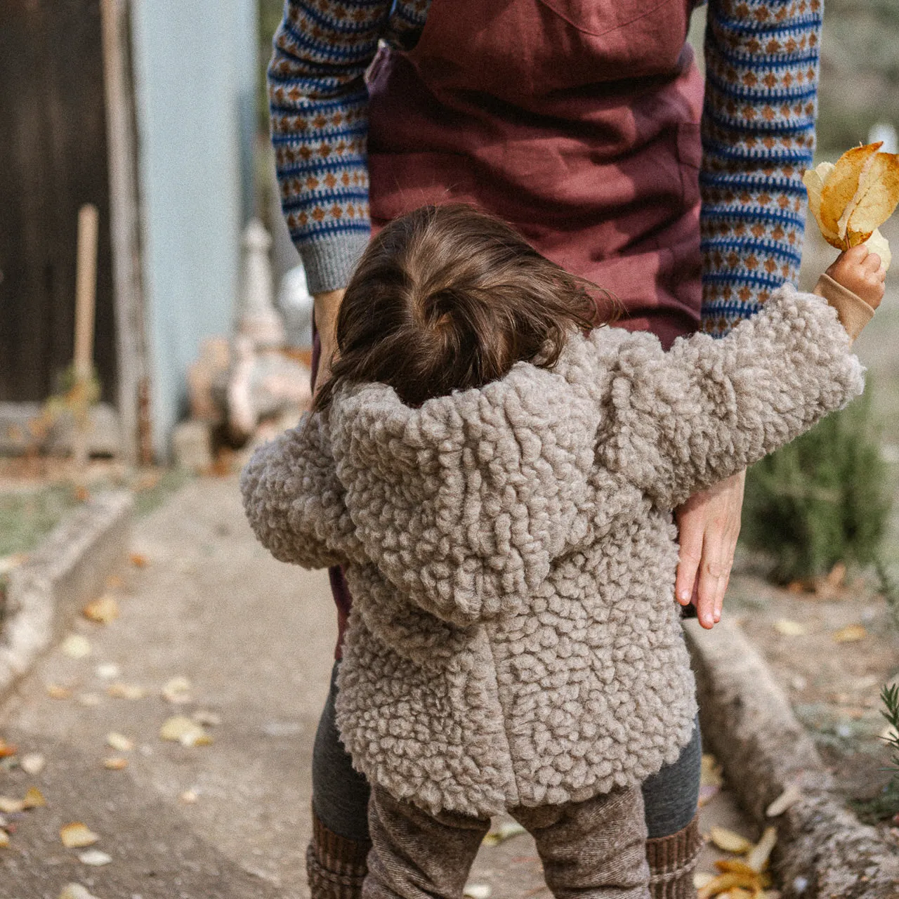 Plush Hooded Jacket - Wool/Tencel Teddy (1-8y)